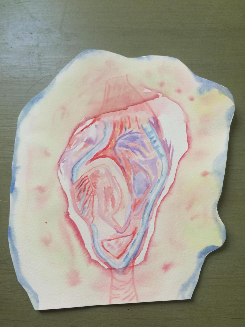 14124998_10154063826498043_4669386708673358147_o